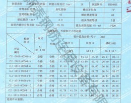 檢驗(yàn)報(bào)告