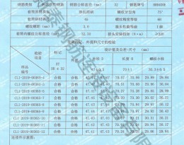 檢驗(yàn)報(bào)告