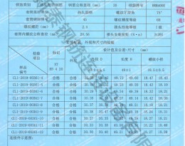 檢驗報告